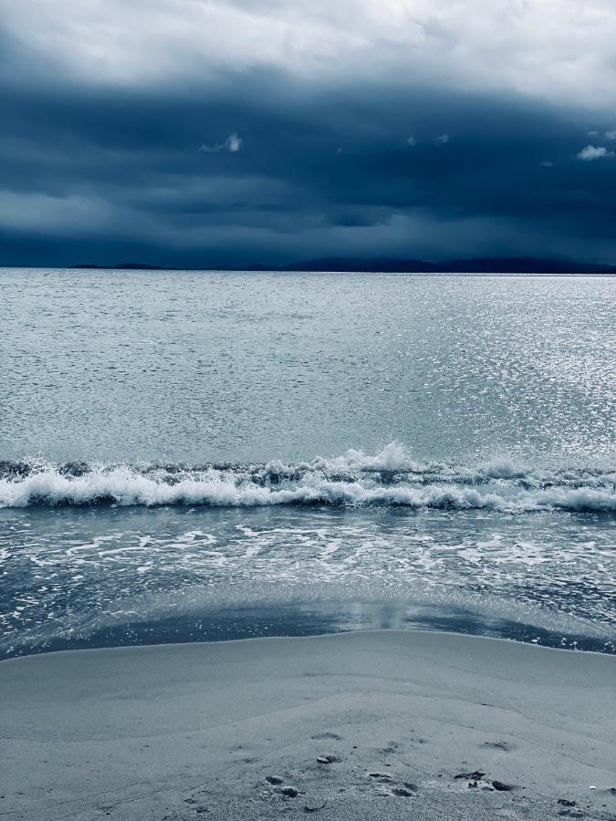 Ekkeroy Lodge - Arctic Living Vadsø エクステリア 写真