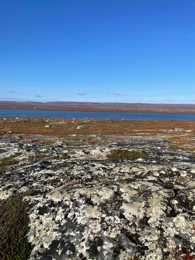 Ekkeroy Lodge - Arctic Living Vadsø エクステリア 写真